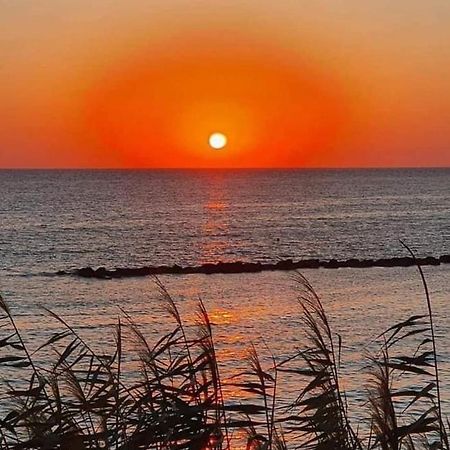 Elena'S Guest House A Pafos Dış mekan fotoğraf