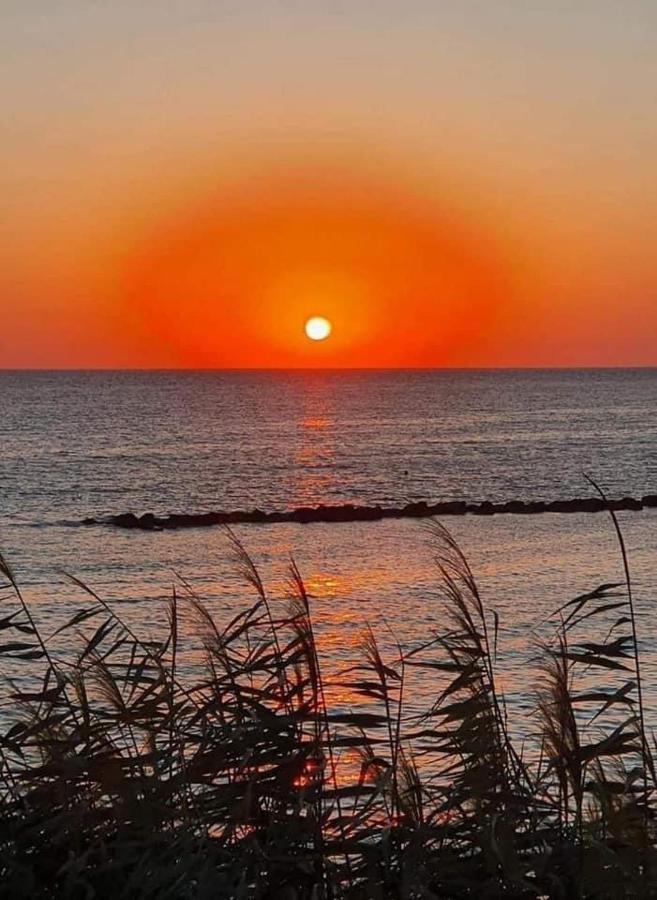 Elena'S Guest House A Pafos Dış mekan fotoğraf